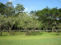 Navatanee Golf Club