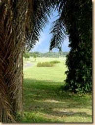 Phoenix Golf & Country Club