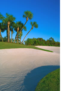 Sand Trap