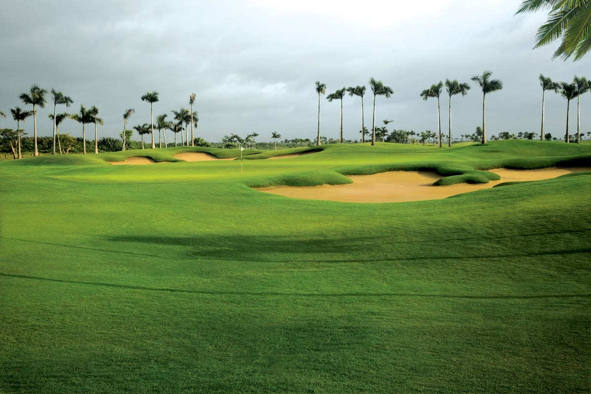 Emerald Country Club, Saigon - green