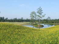 Mae Jo Golf Club (