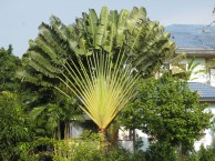 The Royal Gems Golf & Sports Club