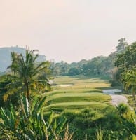 The Vista Country Club