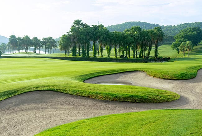 Chi Linh Golf Club, Hanoi - green