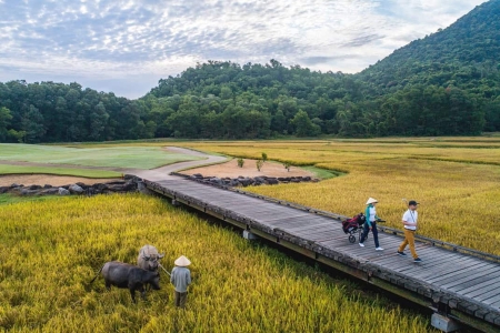 Laguna Golf Lang Co