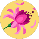 Donna McGroarty Avatar